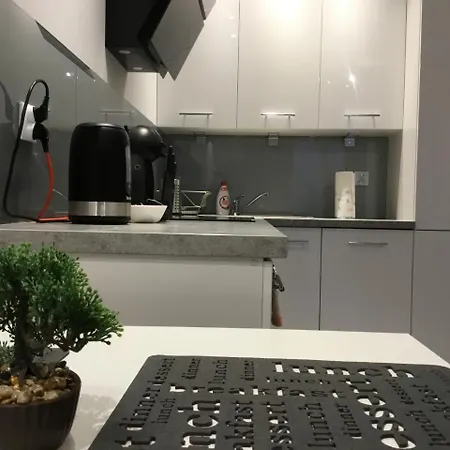Apartament Komfortowy Krakov
